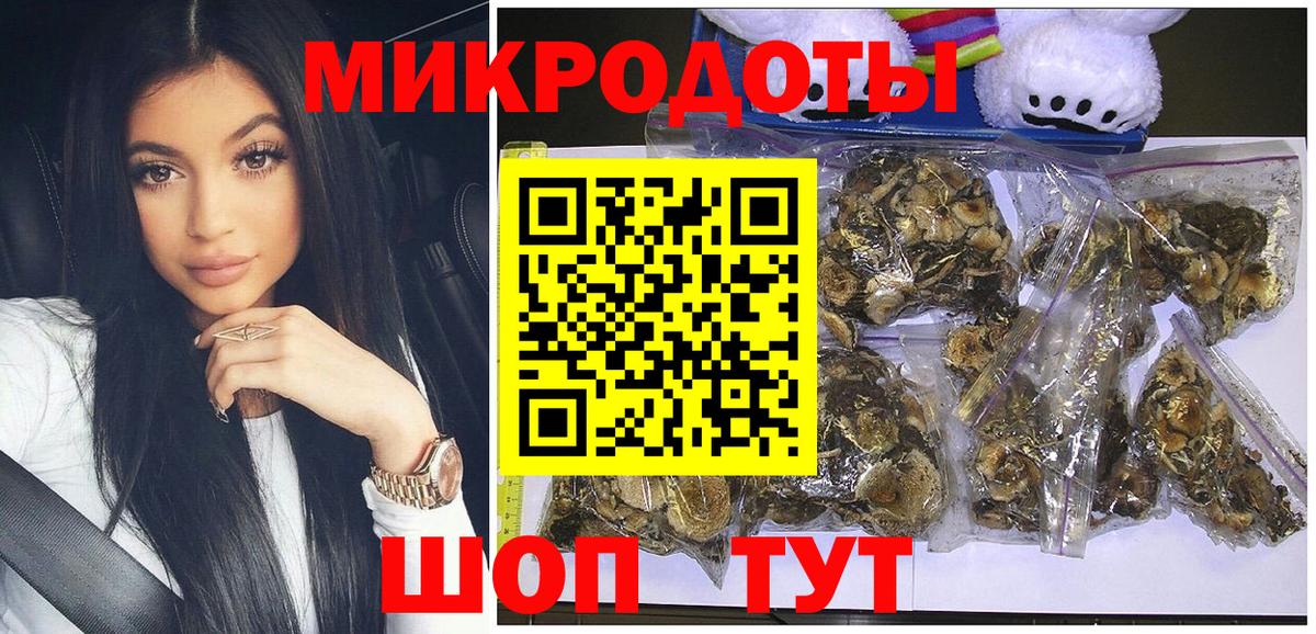 Галлюциногенные грибы Psilocybe  Псилоцибиновые грибы Psilocybine cubensis  Вход с VPN  Озёры 